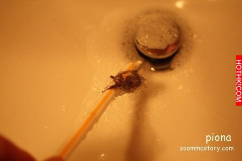 教你一招「不花錢」就能通水管！！超有效！！