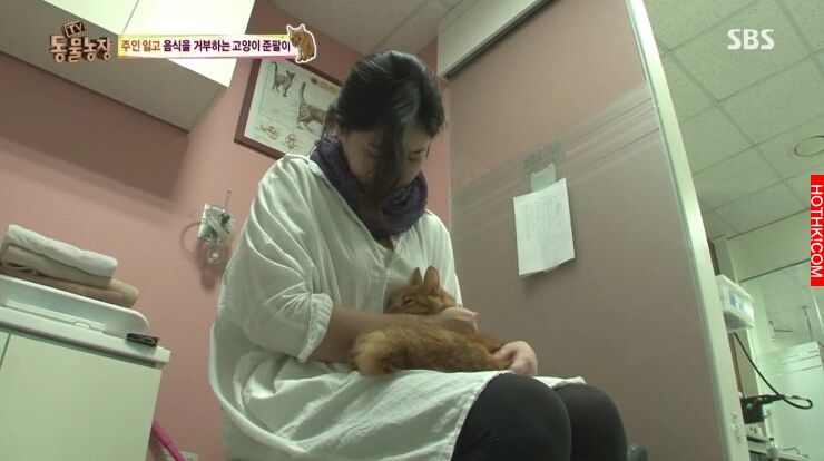 遭主人棄養的8歲老貓，做出了連獸醫師一輩子也無法相信的事，連韓國藝人都被感動申請 ...