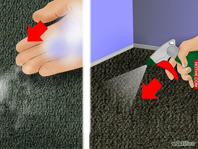 Get Rid of Ticks Around Your Home Step 4.jpg