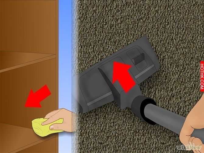 Get Rid of Ticks Around Your Home Step 3.jpg