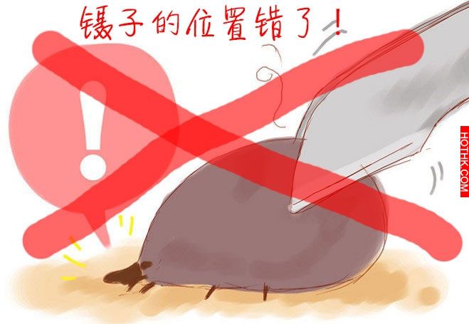 這種蟲太恐怖了！每個人家裡都有．．尤其是有養寵物的！一定要消滅牠們！！ ...