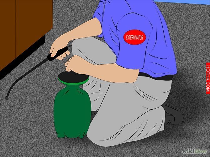 Get Rid of Ticks Around Your Home Step 6.jpg