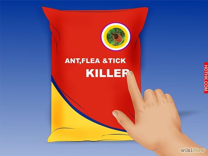 Get Rid of Ticks Around Your Home Step 11.jpg