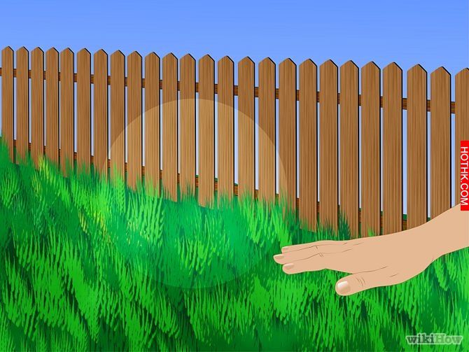 Get Rid of Ticks Around Your Home Step 7.jpg