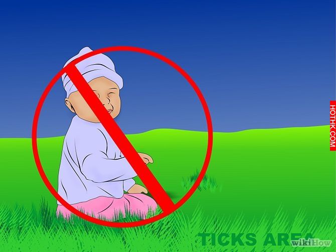 Get Rid of Ticks Around Your Home Step 14.jpg