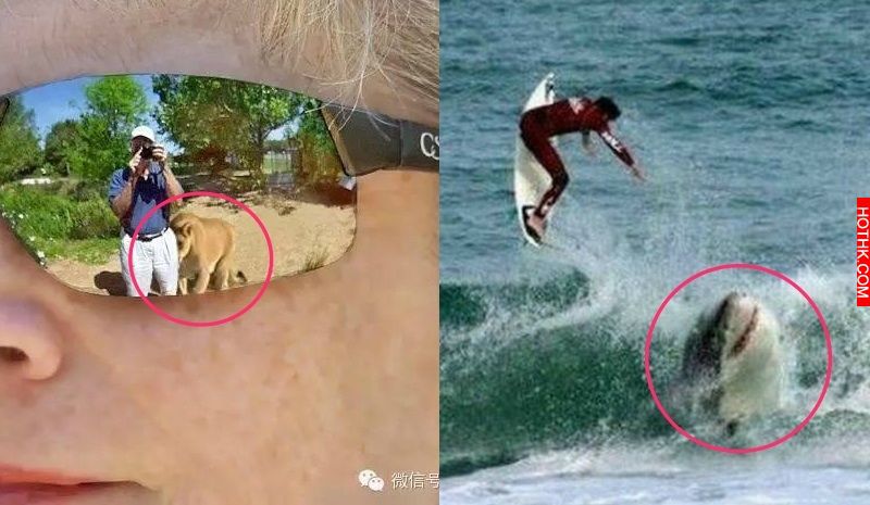 驚恐！臨死前最後一秒的掙扎！倒數第二張感動了無數人...