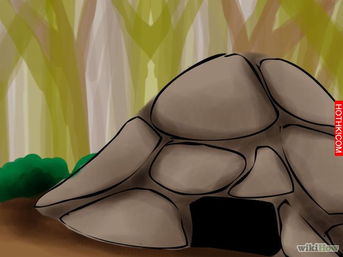 Live in the Wilderness Step 10 Version 2.jpg
