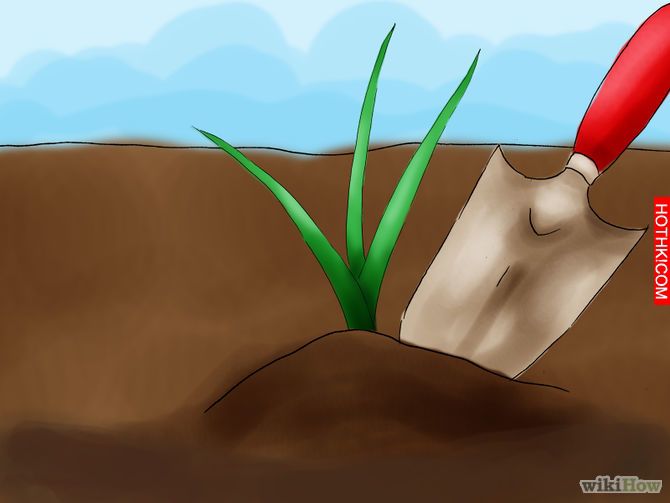 Live in the Wilderness Step 19.jpg