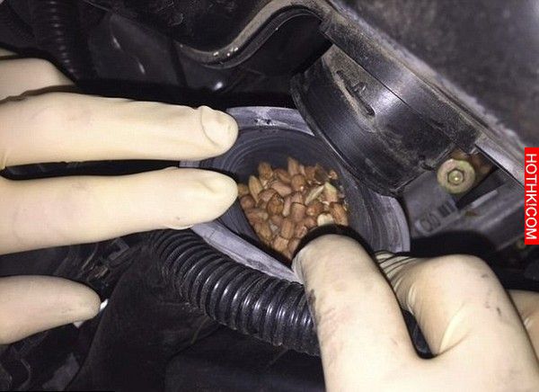 新車只跑了64公里，打開引擎蓋卻發現滿滿的…好可怕！