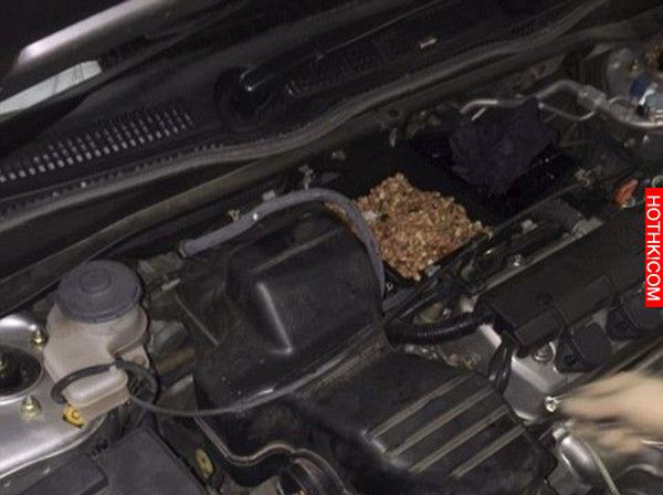 新車只跑了64公里，打開引擎蓋卻發現滿滿的…好可怕！