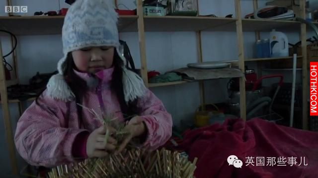 被遺棄在紙箱內的雙胞胎，一念之差，分隔在世界兩端...