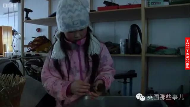 被遺棄在紙箱內的雙胞胎，一念之差，分隔在世界兩端...