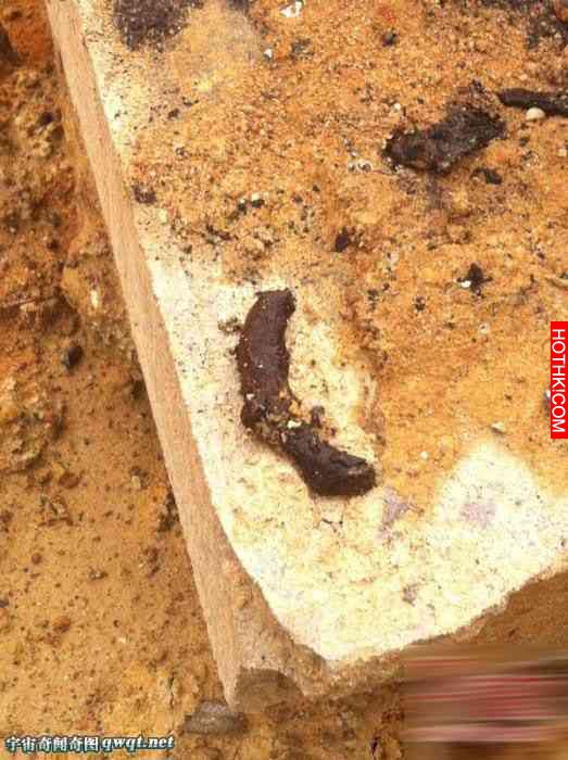 14271585205104.jpg