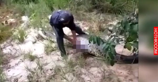 匪夷所思！男子路遇巨蛇，剖開後驚見…滑出