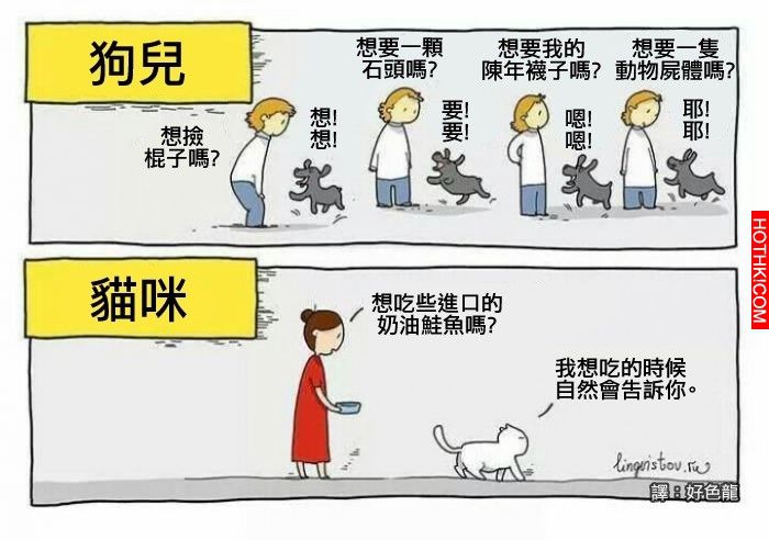 沒想到養貓咪就像伺奉皇帝一樣，只差沒有下跪而已阿...
