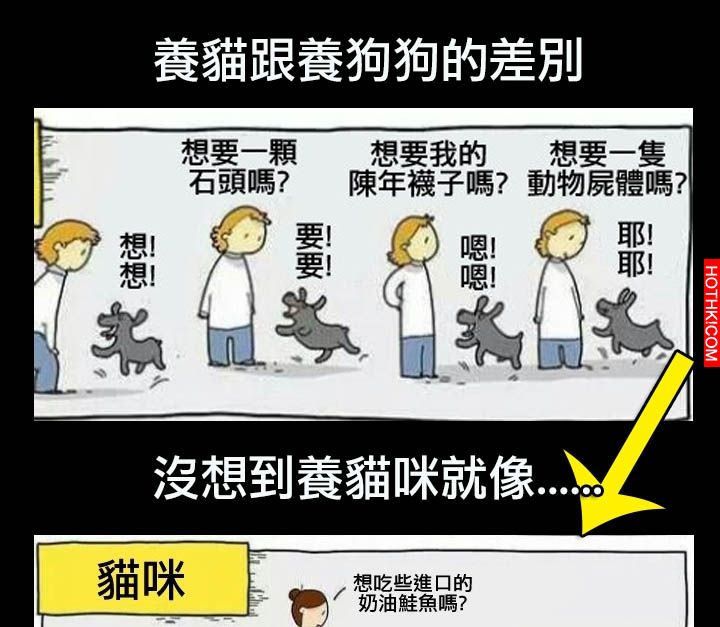 沒想到養貓咪就像伺奉皇帝一樣，只差沒有下跪而已阿...