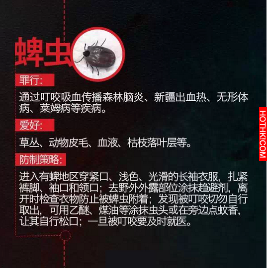 急轉！踏青掃墓小心！這種小蟲現在正活躍！已多次致人死亡！連狗狗都不放過... ...