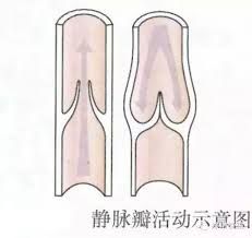 昨晚有個男孩，只是擠一顆痘！就丟了一條命！！這些地方的痘…千萬不能擠！ ...
