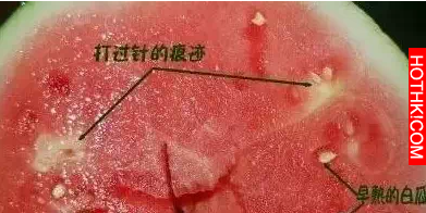 這樣的西瓜不能吃！教你如何分辨「打針西瓜」