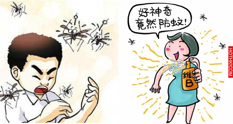 天然環保！蚊子最怕的12種味道，從此我家再也沒蚊子了！