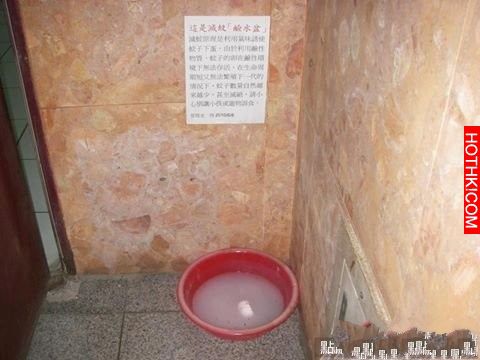 最強滅蚊法！安全環保！只要1個月讓蚊子徹底絕跡...