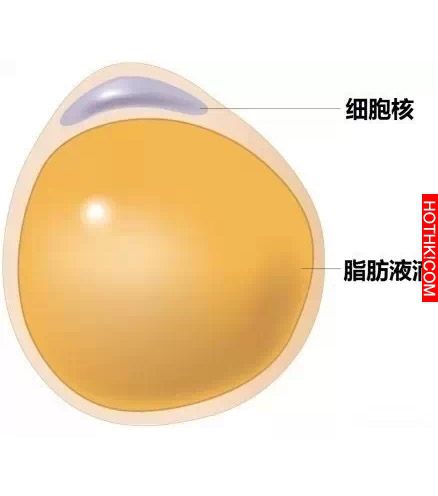 她們都是70公斤，為什麼她看起來這麼胖，她卻是瘦的?!