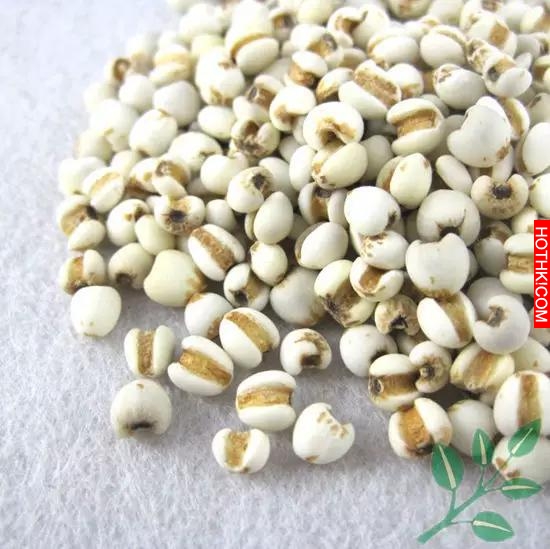 吃不死你瘦死你！吸光你身體脂肪的9大食​​物！讓你又美又白又瘦！ ...