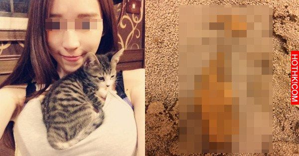 貓之報恩！？ 幫妹顧貓 卻從「貓砂」得知妹男友的秘密