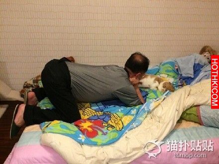 “爸爸一開始不准養貓”系列......最後都成了貓奴