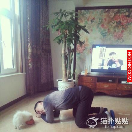“爸爸一開始不准養貓”系列......最後都成了貓奴