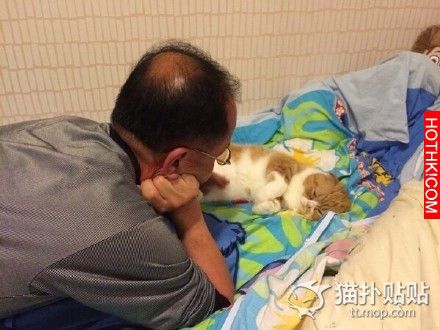 “爸爸一開始不准養貓”系列......最後都成了貓奴