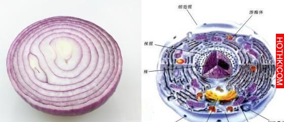 李時珍告訴你怎麼不得病！都整理好了，還不收藏嗎?!