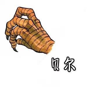 看手辨識人物，資深海賊迷才答得出來！
