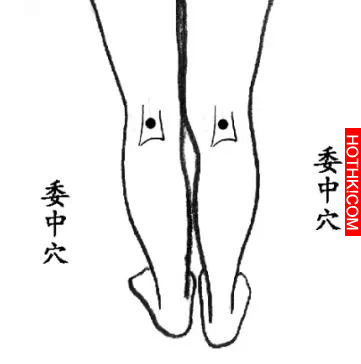 人體的7個“排污口”能把濕毒排出去，全身就輕鬆了！