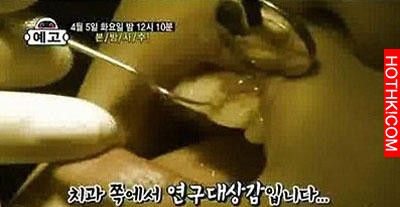 十年不刷牙的韓國正妹，張開牙後讓所有男人崩潰阿......