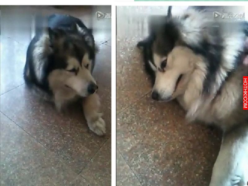 点此看大图片