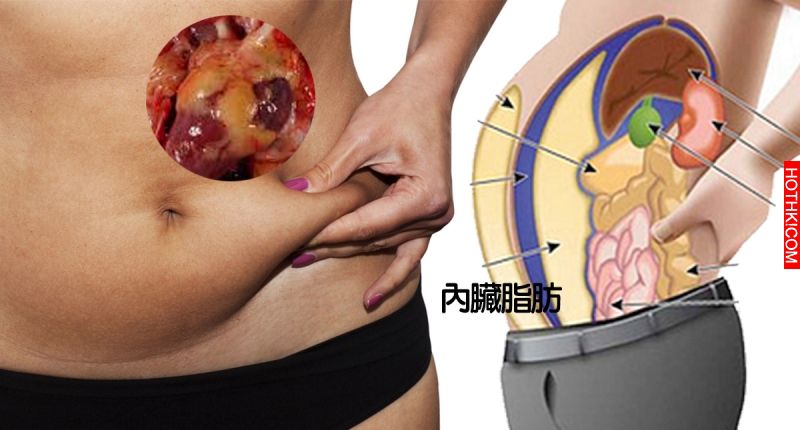 你是胖在「內臟脂肪」你知道嗎？除掉它其實很簡單，這招「腹式呼吸法」塑造好身材！ ...