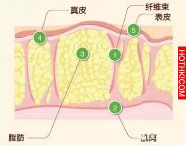 體重減了，那橘皮呢?!只要這樣做，你也可以重新擁有光滑肌膚!!她們都做到了，你一定也 ...