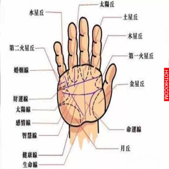 天生事業運旺的7種手相，伸手看看自己今年有沒有機會成為土豪！ ...