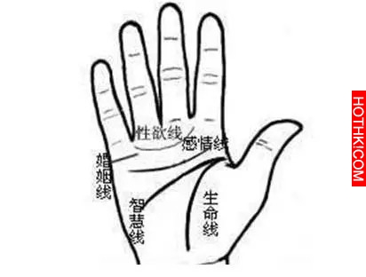 天生事業運旺的7種手相，伸手看看自己今年有沒有機會成為土豪！ ...