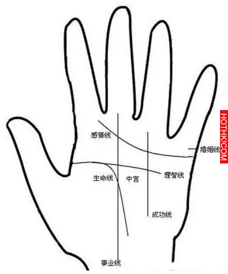 天生事業運旺的7種手相，伸手看看自己今年有沒有機會成為土豪！ ...