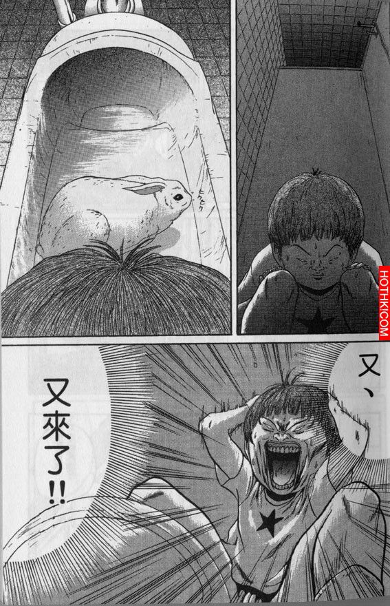 早上拉屎拉出一隻兔子...這到底怎麼回事？