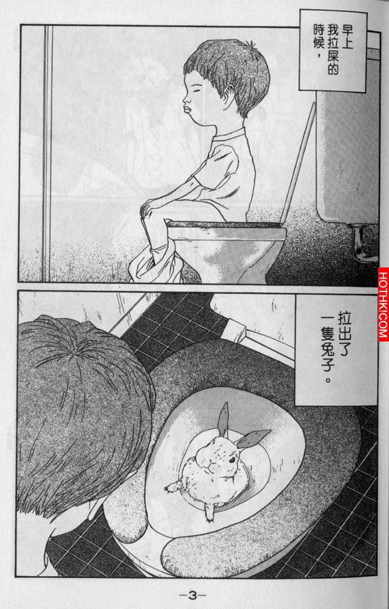 早上拉屎拉出一隻兔子...這到底怎麼回事？