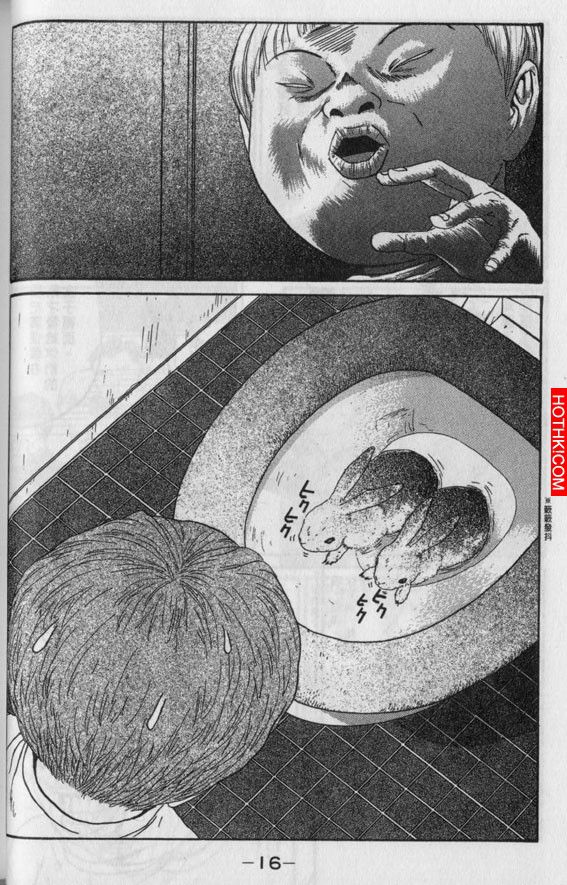 早上拉屎拉出一隻兔子...這到底怎麼回事？
