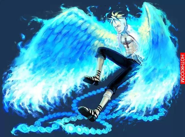《海賊王》惡魔果實以及擁有者綜合排名，還有人贏過「白鬍子」..！ ...