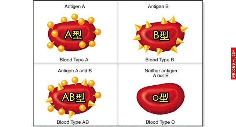 原來得病跟「血型」也有關！什麼血型要注意什麼健康隱患，很重要！千萬要注意！ ...