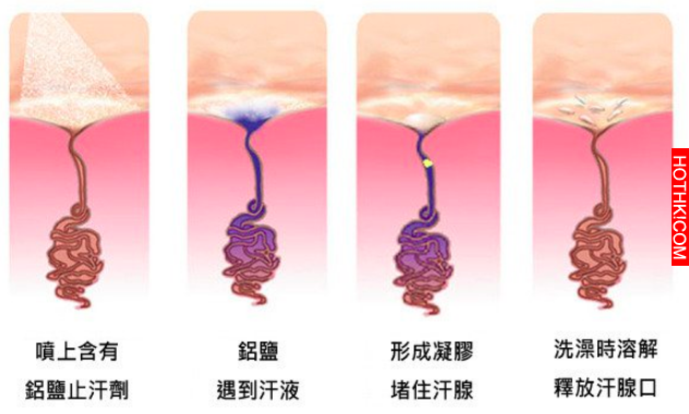 夏天到了! 原來有「狐臭」才是正常的! 沒狐臭都是變態?! 原因竟然是...你一定想不到！ ...