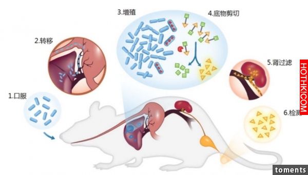 有沒有得肝癌，撒泡尿照照就知道！造福人類的方法，你一定要分享出去！ ...