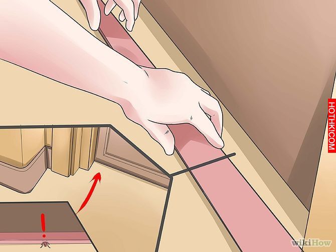 Get Rid of Ants Step 1 Version 3.jpg