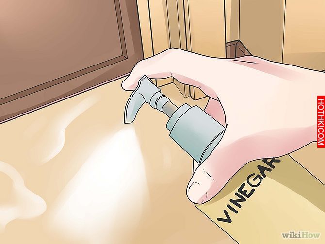 Get Rid of Ants Step 4 Version 3.jpg